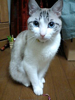 三浦　真樹人